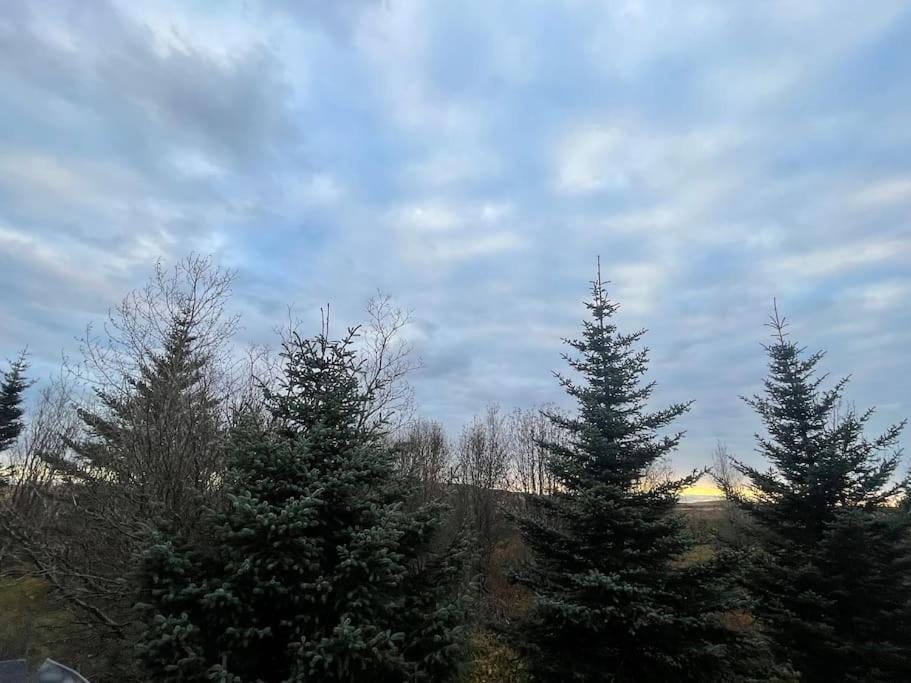 Вилла Golden Circle Cozy Retreat Grimsnes og Grafningshreppur Экстерьер фото